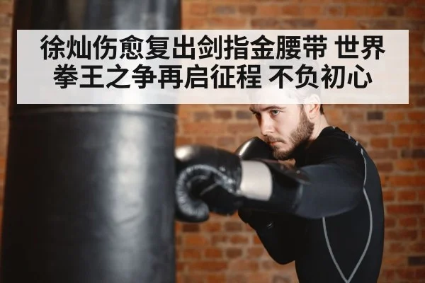 徐灿伤愈复出剑指金腰带 世界拳王之争再启征程 不负初心